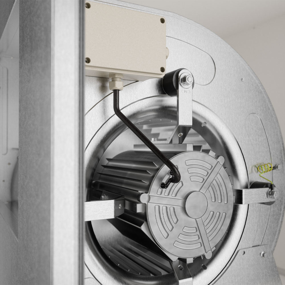 Uploaded DIAMOND Image