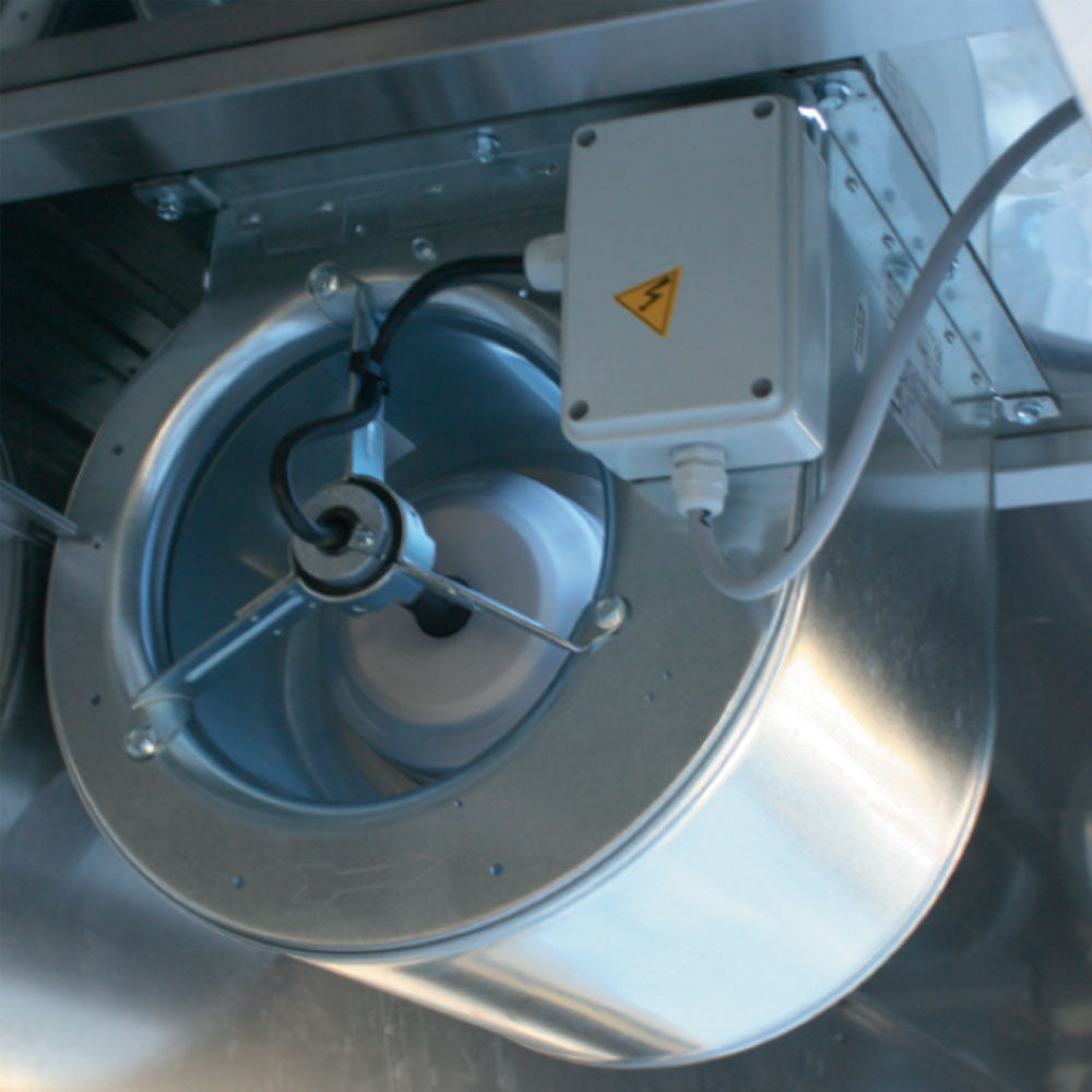 Uploaded DIAMOND Image