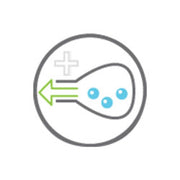 Uploaded DIAMOND Image